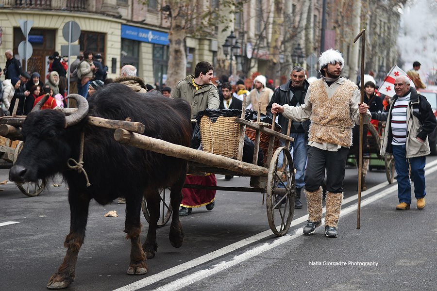 Alilo traditional Christmas walk in Tbilisi