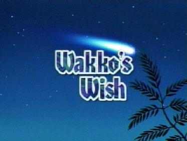 Click Here for Wakko's Wish Pictures