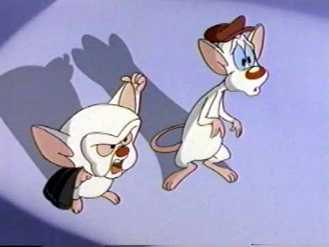 download pinky and the brain and animaniacs download pinky and the brain and animaniacs
