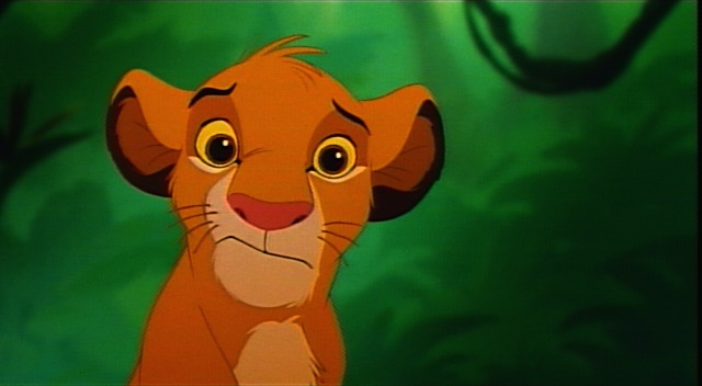 Simba is soooooo confused that I don't have a site yet.