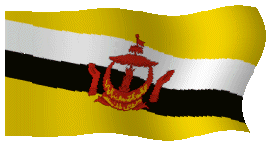Brunei flag image