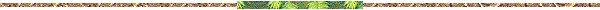 Horizontal line image