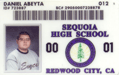 Senior