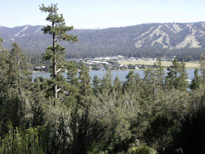 View of the east side of the lake & Snow Summit from a hike, Flip new friend!