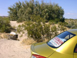 North view of the boondocking area on the Colorado River & CA hyw 95.