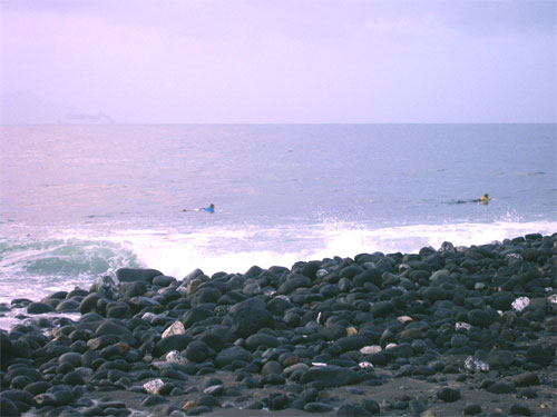 Searching for the perfect surge and wave. Surfs up dudes! Hang ten all the way to the judges table!