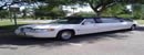 Limousine branca Luxo
