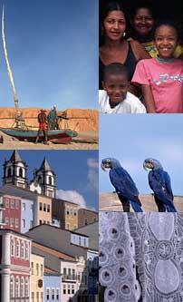 Conhe�a o Brasil