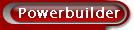 powerbuilder 6.5 summary documentation
