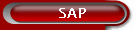 SAP documentation and practices