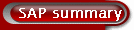 SAP documentation and practices