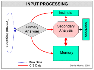 Input Processing