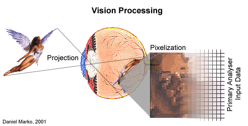 Vision Processing