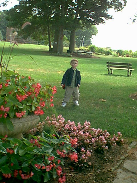 Cam at the OARDC, Wooster, running away from me and the camera, August 2005