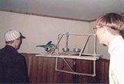 York Homecoming 94 -- MIke, Steve and Debbie's Parrot