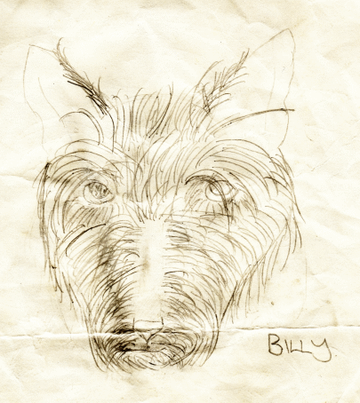 drawbilly.gif