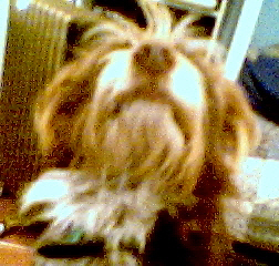 OMG! It's a fly!