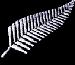 Proudly Kiwi made