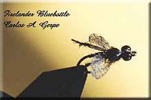 FireBluebottle.gif (24311 bytes)