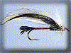 Spruce Fly