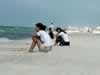 beach2.jpg (36,712 bytes)