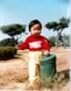 baby.jpg (48,881 bytes)