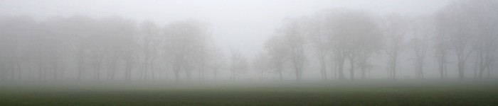 Fog in the Meadows as I was leaving Edinburgh.