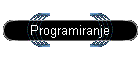 Programiranje