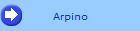 Arpino