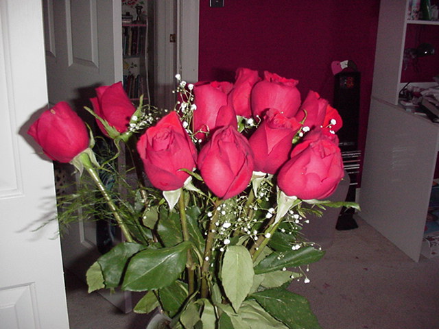 Roses, enough said...