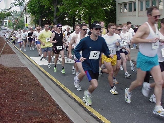 Hey, Jean there's Dwight in the pack