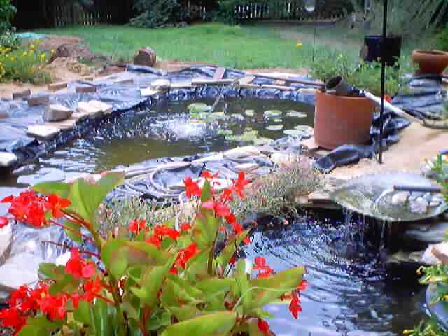 pond_ju1.jpg