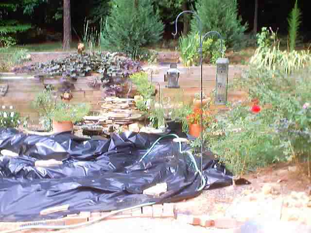 pond_july28_2002_0021.jpg