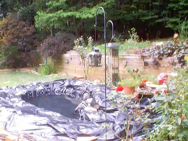 pond_july28_2002_0022.jpg