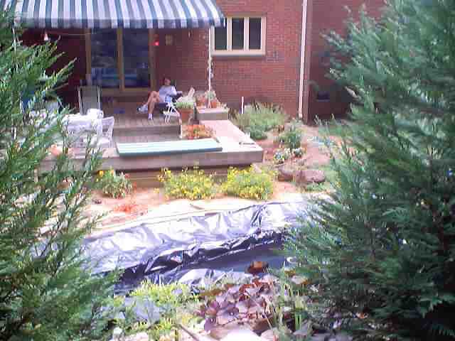 pond_july28_2002_0027.jpg