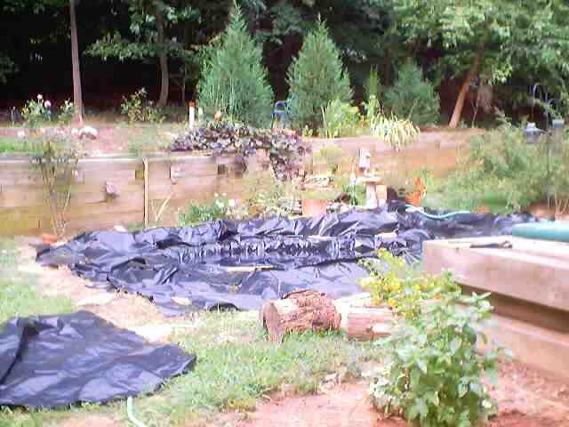 pond_july28_2002_0029.jpg