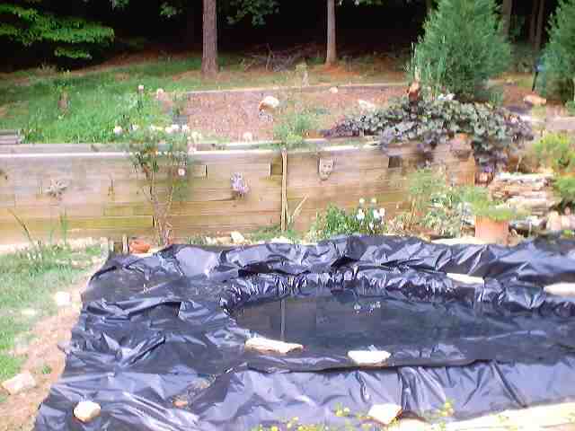 pond_july28_2002_0030.jpg