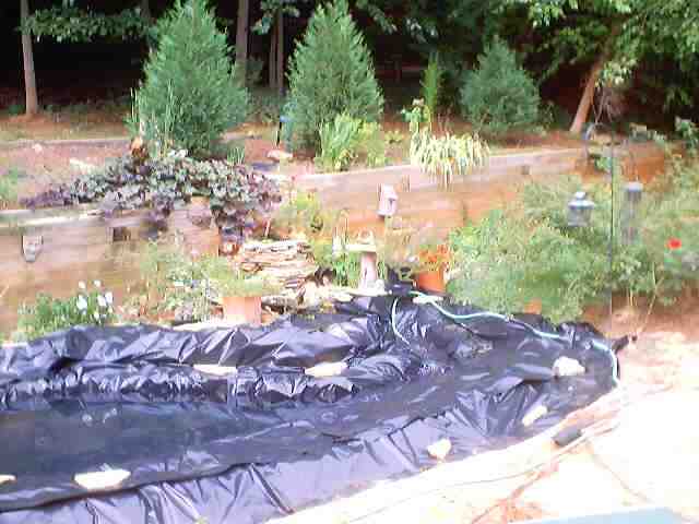 pond_july28_2002_0031.jpg