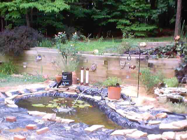pond_july28_2002_0040.jpg