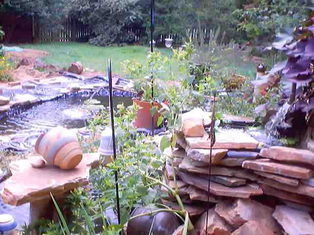 pond_july28_2002_0043.jpg