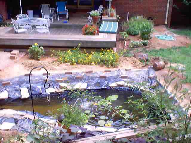 pond_july28_2002_0045.jpg