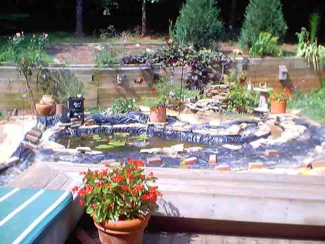 pond_july28_2002_0049.jpg