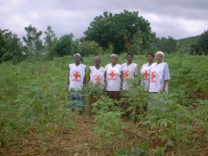 Mothers in field