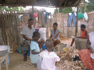 skinning the roots