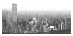 nyc.gif (90056 bytes)