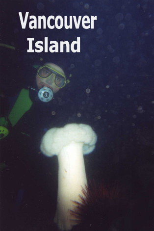Scuba Diving Trip At Vancouver Island 