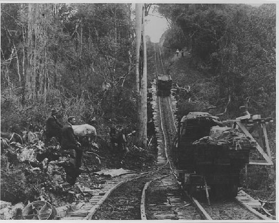Logging