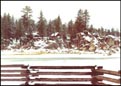 Snow up at Big Bear, CA