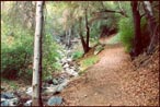 A mountain trail up in the mountains near the Los Angeles area.