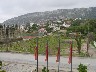 A view from our porch
